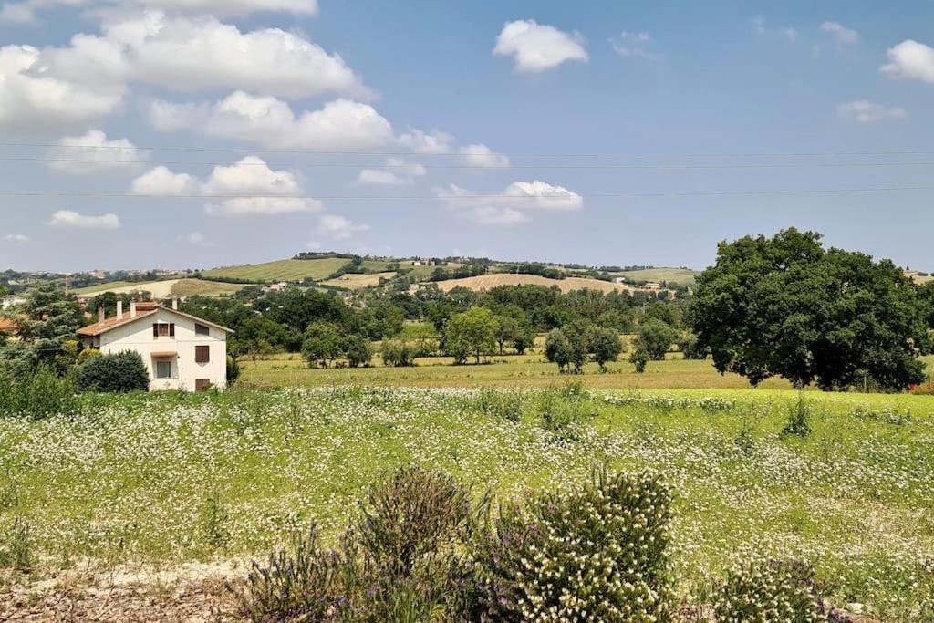 Villa Sant Isidoro Corinaldo Extérieur photo